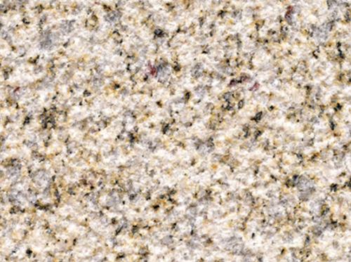 黃金麻（大黃）荔枝面